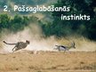 Prezentācija 'Instinkti', 7.