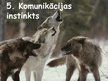 Prezentācija 'Instinkti', 18.