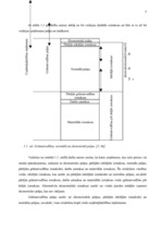 Referāts 'SIA "Ogres trikotāža" ražošanas izmaksu analīze', 5.