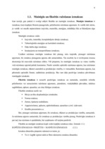 Referāts 'SIA "Ogres trikotāža" ražošanas izmaksu analīze', 6.