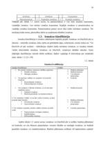 Referāts 'SIA "Ogres trikotāža" ražošanas izmaksu analīze', 10.