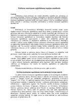 Referāts 'Kultūras mantojuma saglabāšanas iespējas mūsdienās', 1.