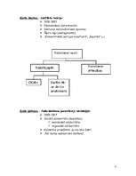 Konspekts 'Ievads socioloģijā', 4.