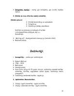 Konspekts 'Ievads socioloģijā', 24.