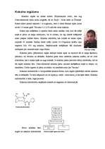 Referāts 'Kokaīns', 4.