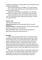 Referāts 'Kokaīns', 5.