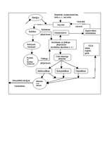 Referāts 'Resursu otrreizējā izmantošana', 6.