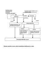 Referāts 'Resursu otrreizējā izmantošana', 9.