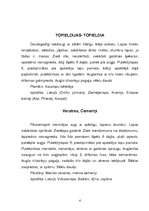 Referāts 'Liliju dzimta', 4.