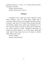 Referāts 'Liliju dzimta', 14.