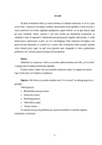 Biznesa plāns 'Vai bērnu un jauniešu centrs SIA "Art et cetera" spēj veiksmīgi darboties', 9.