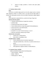 Biznesa plāns 'Vai bērnu un jauniešu centrs SIA "Art et cetera" spēj veiksmīgi darboties', 12.