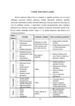 Biznesa plāns 'Vai bērnu un jauniešu centrs SIA "Art et cetera" spēj veiksmīgi darboties', 41.