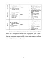 Biznesa plāns 'Vai bērnu un jauniešu centrs SIA "Art et cetera" spēj veiksmīgi darboties', 42.