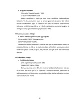 Biznesa plāns 'Vai bērnu un jauniešu centrs SIA "Art et cetera" spēj veiksmīgi darboties', 47.