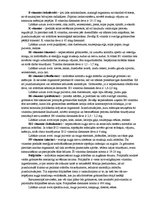 Konspekts 'Vitamīni grūtniecēm', 5.