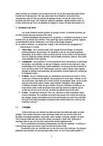 Referāts 'Svēto relikvijas', 5.