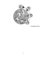 Konspekts 'Malārija', 8.