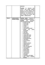 Prakses atskaite 'Prakses dienasgrāma operāciju māsām', 31.