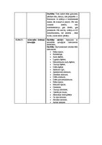 Prakses atskaite 'Prakses dienasgrāma operāciju māsām', 34.