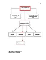 Diplomdarbs 'Probleme der Übersetzung (Deutsch-Lettisch) der Termini aus dem Bereich Metallur', 46.