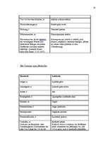 Diplomdarbs 'Probleme der Übersetzung (Deutsch-Lettisch) der Termini aus dem Bereich Metallur', 63.