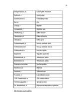 Diplomdarbs 'Probleme der Übersetzung (Deutsch-Lettisch) der Termini aus dem Bereich Metallur', 65.