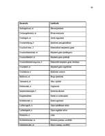 Diplomdarbs 'Probleme der Übersetzung (Deutsch-Lettisch) der Termini aus dem Bereich Metallur', 66.