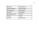 Diplomdarbs 'Probleme der Übersetzung (Deutsch-Lettisch) der Termini aus dem Bereich Metallur', 69.