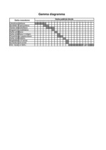 Biznesa plāns 'Peintbola parka attīstības projekts', 4.