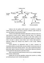 Referāts 'Uzņēmumu SIA ”Gulbenes maiznieks” un SIA "Reinings” analīze', 4.
