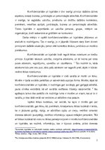 Eseja 'KONFIDENCIALITĀTE UN LOJALITĀTE', 2.