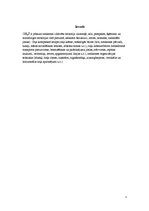 Referāts 'Ceļa segas konstrukcija (parametri, materiāli, funkcija)', 3.