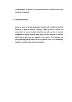 Eseja 'E.Ādamsona noveles "Gājiens ar lopiem" analīze', 6.