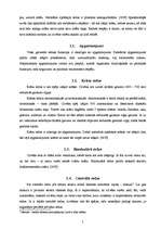 Referāts 'Acs uzbūve', 5.