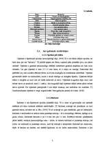 Referāts 'Acs uzbūve', 8.