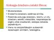 Prezentācija 'Pārmantotās gremošanas trakta slimības', 3.