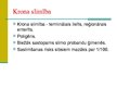 Prezentācija 'Pārmantotās gremošanas trakta slimības', 20.