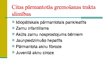 Prezentācija 'Pārmantotās gremošanas trakta slimības', 22.