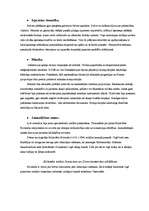 Referāts 'Zinātniskie sasniegumi Eiropā 14.-15.gadsimtā', 3.