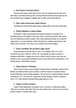 Referāts 'Zinātniskie sasniegumi Eiropā 14.-15.gadsimtā', 5.