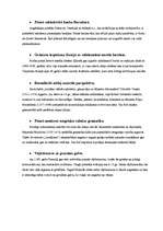 Referāts 'Zinātniskie sasniegumi Eiropā 14.-15.gadsimtā', 6.