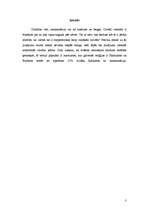 Referāts 'Reinkarnācija', 3.