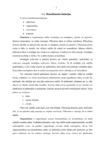 Referāts 'Biroja darba organizēšana un vadīšana', 5.