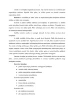 Referāts 'Biroja darba organizēšana un vadīšana', 7.