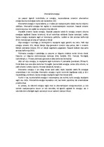Eseja 'Alternatīvā enerģija', 1.
