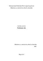 Eseja 'Poētiskais stils', 1.