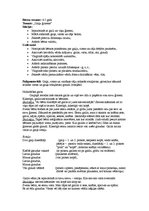 Konspekts 'Integrētā nodarbība ar runas dominanti "Gaiļu ģimene"', 1.