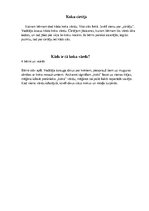 Konspekts 'Projekta nedēļas plāns 2.klasei. Koki', 11.