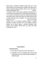 Referāts 'Sociālpsiholoģiskā un komunikatīvā drošība', 11.